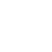 Industrializzazione prodotto